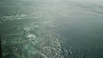 DSC_0075.JPG