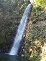 DSC_1938.JPG