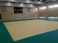 DSC_1992.JPG