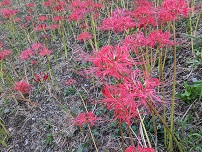 PXL_20230922_083250995.jpg