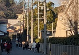 PXL_20250110_231606422.jpg