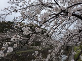 XL_20250331_220947723.jpg