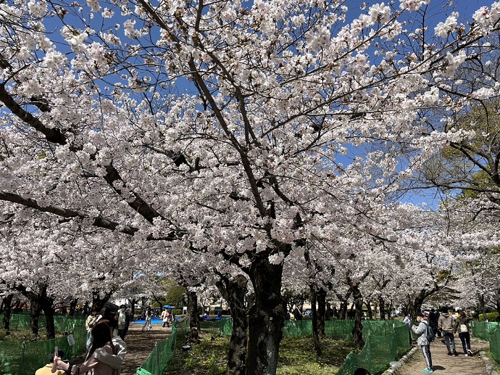 https://meirin-zemi.jp/classroom/gokiso_k/1680255953054.jpg