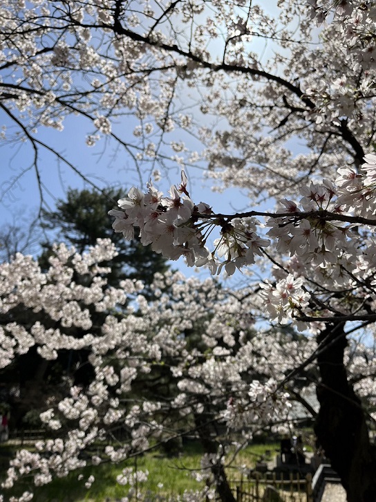 https://meirin-zemi.jp/classroom/gokiso_k/1680601014961.jpg