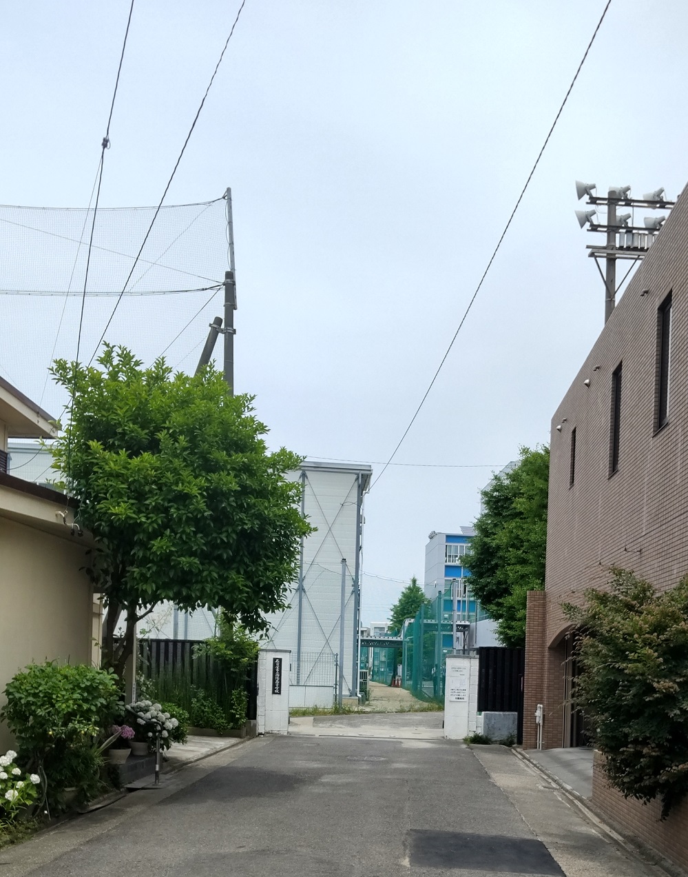 https://meirin-zemi.jp/classroom/gokiso_k/DSC_0657.JPG