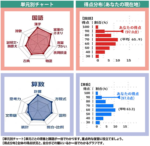 国語と算数の単元別チャートと得点分布のサンプル。レーダーチャートと棒グラフで得意・苦手が確認できる